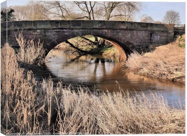 Bridge over the river Dane Canvas Print by mike kearns