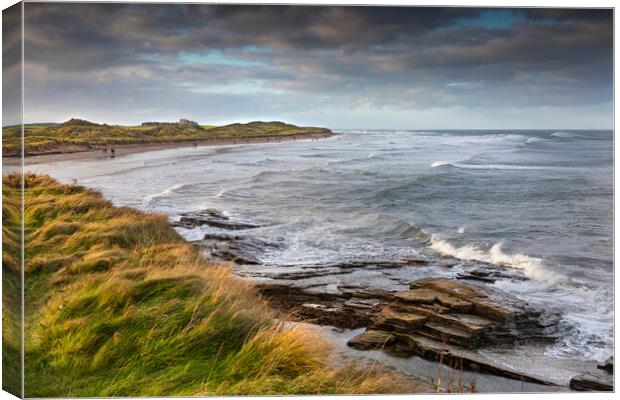 Nothumbrian Beach Canvas Print by David Hare