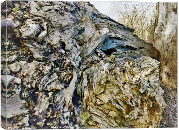 Fallen tree Canvas Print by mike kearns