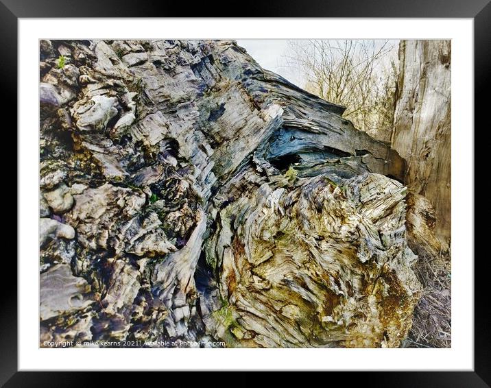 Fallen tree Framed Mounted Print by mike kearns