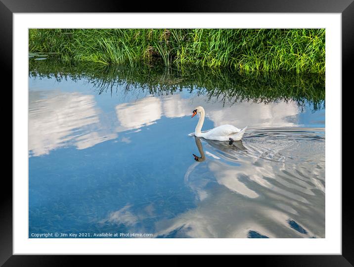 Swan Reflection Framed Mounted Print by Jim Key