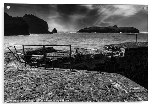 Mullion Cover and the Island Beyond (Monochrome) Acrylic by Brian Pierce