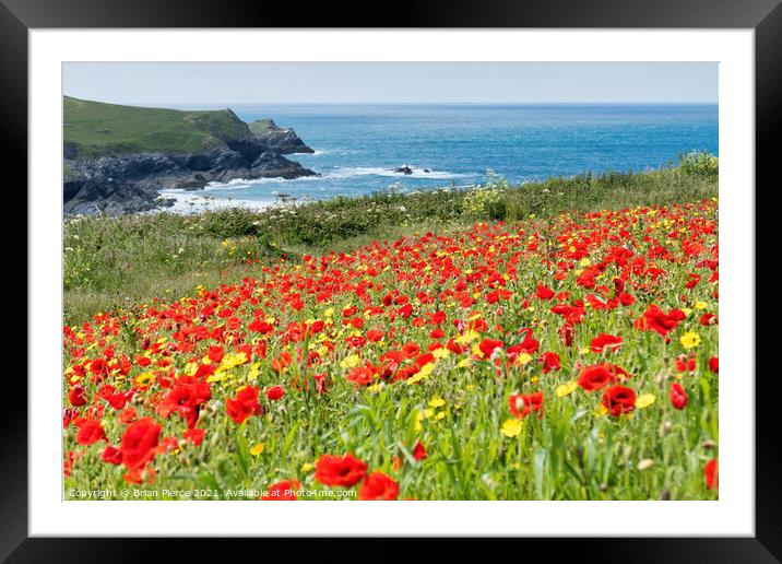 Poppies at Polly Joke, Cornwall Framed Mounted Print by Brian Pierce