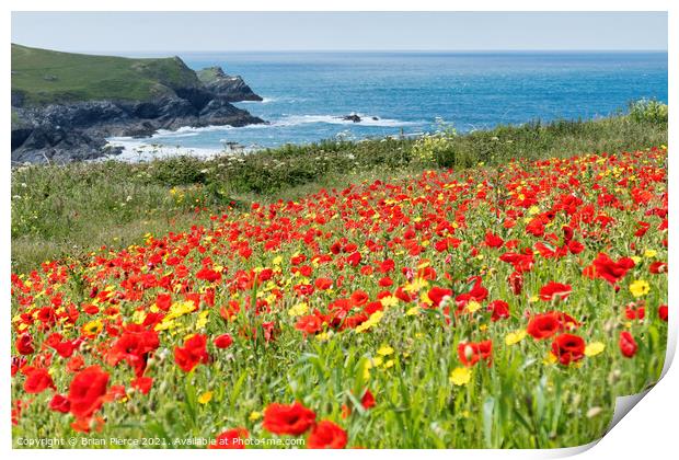 Poppies at Polly Joke, Cornwall Print by Brian Pierce