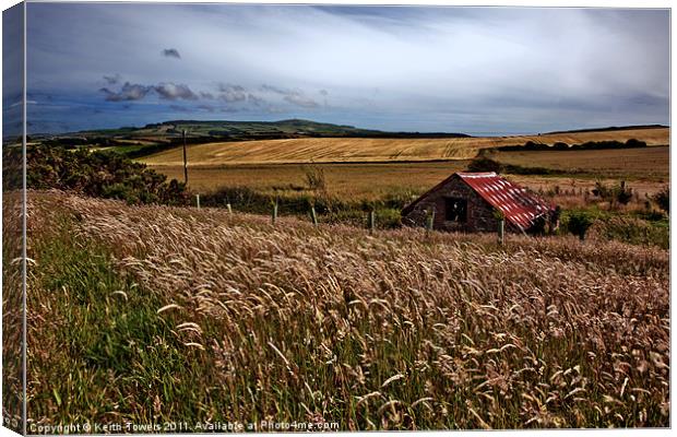 Back of Wight Canvas Print by Keith Towers Canvases & Prints