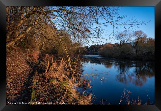 Teviot River at dawn, Scottish Borders, UK Framed Print by Dave Collins