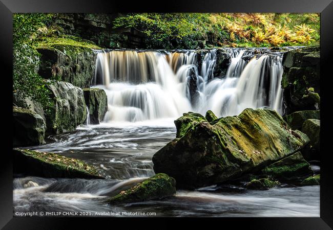 Nelly Ayre foss near Goathland in the yorkshire moors 199 Framed Print by PHILIP CHALK