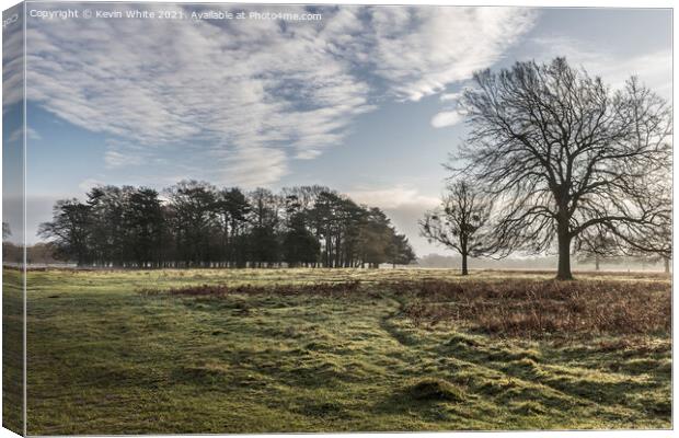 February morning Bushy Park Canvas Print by Kevin White