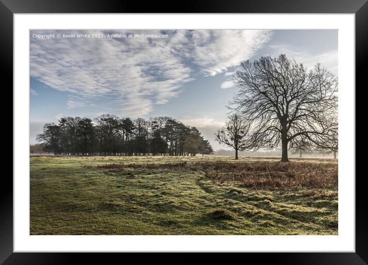 February morning Bushy Park Framed Mounted Print by Kevin White