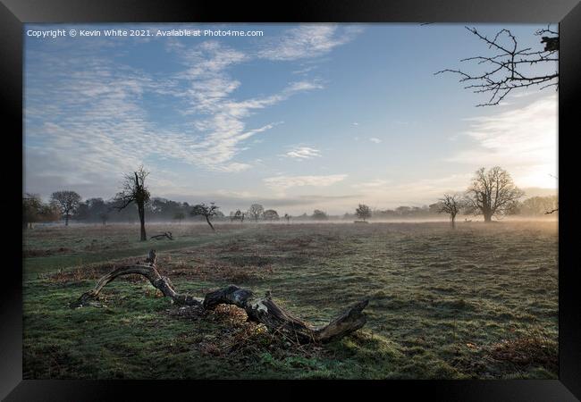 sun is rising over Bushy Park Framed Print by Kevin White