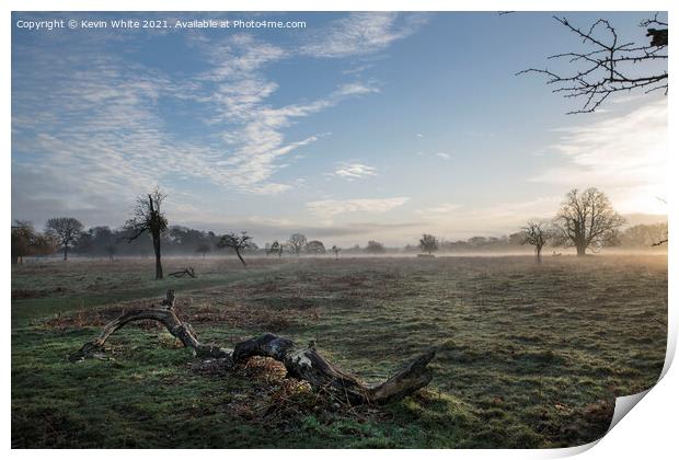 sun is rising over Bushy Park Print by Kevin White