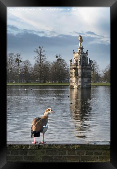 The Diana Fountain in Bushy Park Framed Print by Kevin White