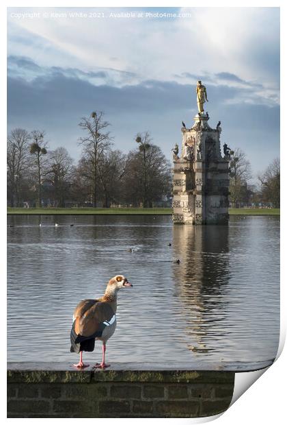 The Diana Fountain in Bushy Park Print by Kevin White