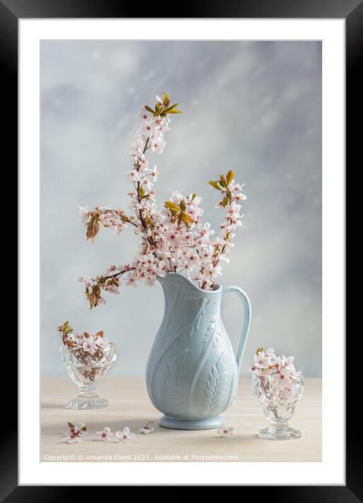 Antique Jug With Blossom Framed Mounted Print by Amanda Elwell