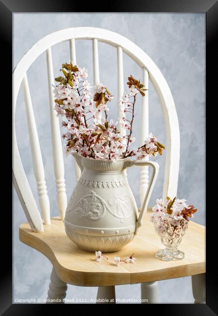Jug Of Spring Blossom Framed Print by Amanda Elwell