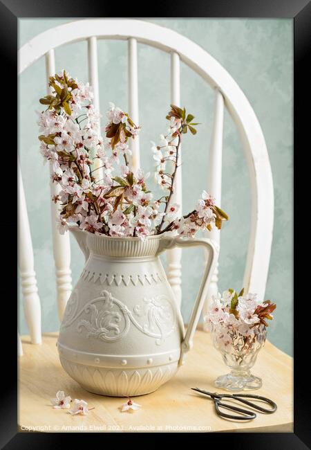 Prunus Spring Blossom Framed Print by Amanda Elwell