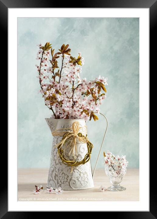 Springtime Blossom Framed Mounted Print by Amanda Elwell