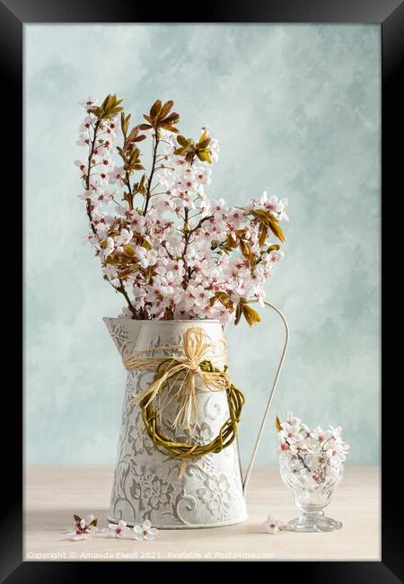 Springtime Blossom Framed Print by Amanda Elwell