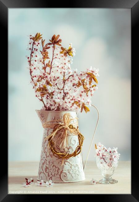 Vintage Spring Blossom Framed Print by Amanda Elwell