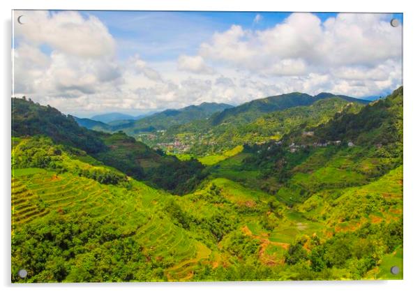 Banaue Philippine Mountains Acrylic by Clive Eariss