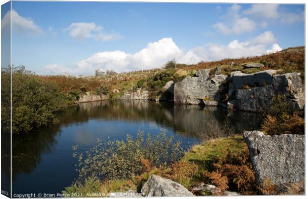 Flooded quarry, Bodmin Moor Canvas Print by Brian Pierce