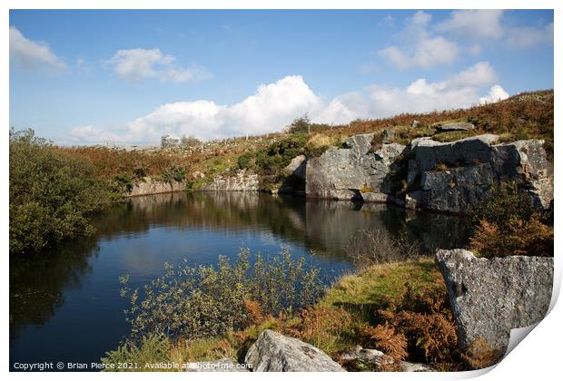 Flooded quarry, Bodmin Moor Print by Brian Pierce