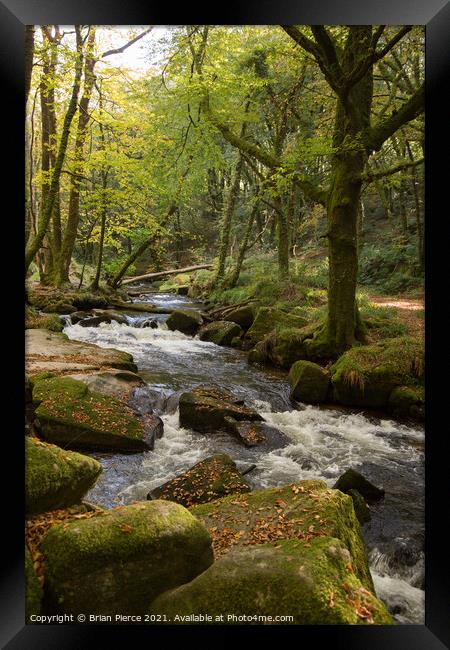 River Fowey at Golitha Falls  Framed Print by Brian Pierce