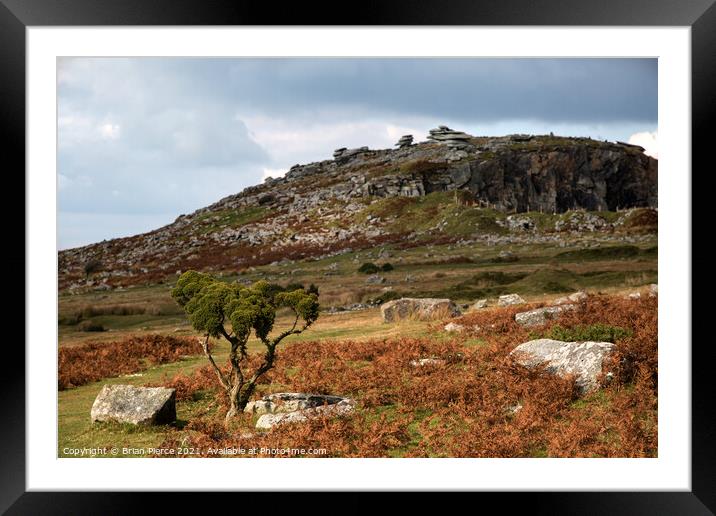 Towards the Cheesewring, Bodmin Moor  Framed Mounted Print by Brian Pierce