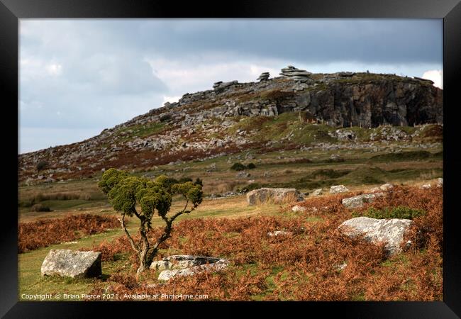 Towards the Cheesewring, Bodmin Moor  Framed Print by Brian Pierce