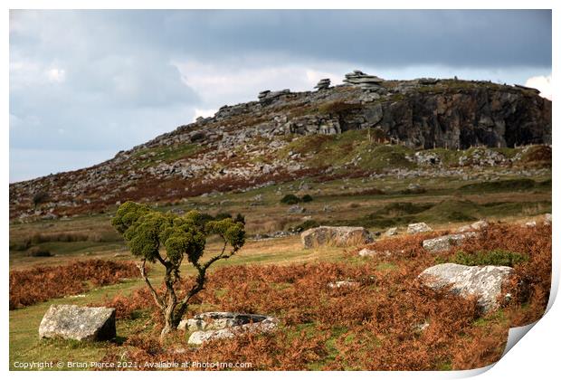 Towards the Cheesewring, Bodmin Moor  Print by Brian Pierce
