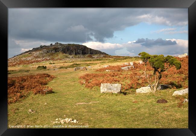 Towards the Cheesewring, Bodmin Moor  Framed Print by Brian Pierce