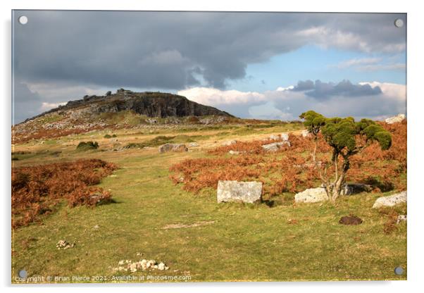 Towards the Cheesewring, Bodmin Moor  Acrylic by Brian Pierce