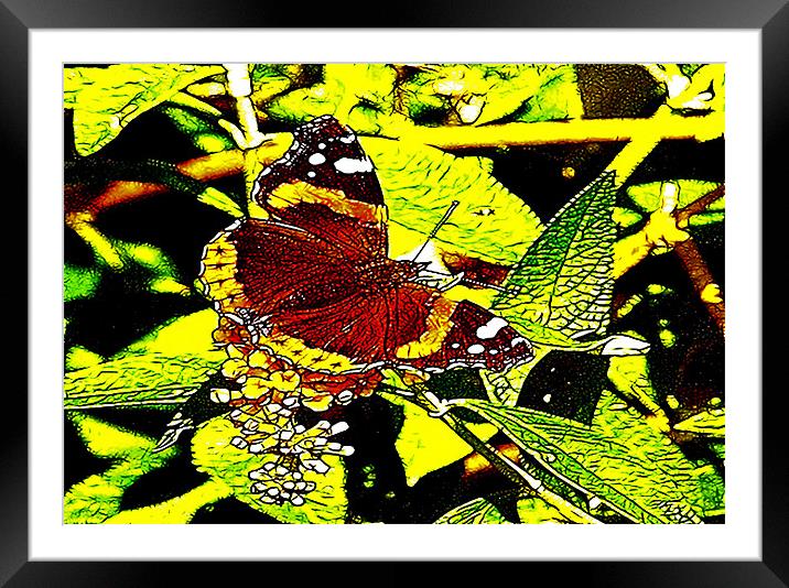 Fractal Butterfly Framed Mounted Print by Trevor Kersley RIP