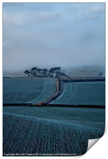 Winter Wight Print by Keith Towers Canvases & Prints