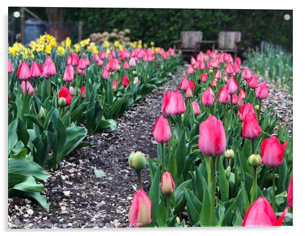 Beautiful garden of Tulips Acrylic by Simon Marlow