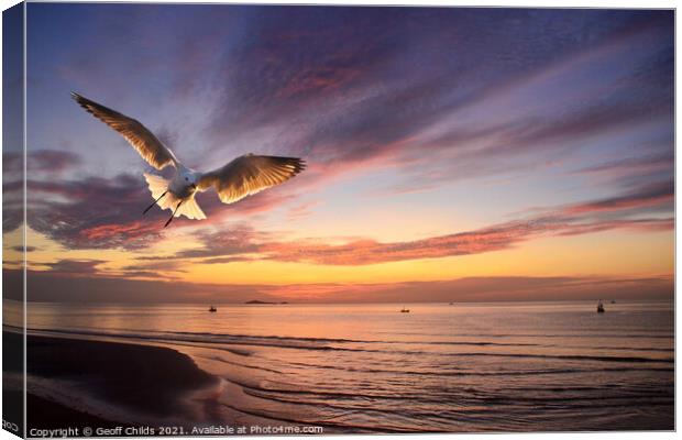 Flying Silver Gull sunrise seascape. Thailand. Canvas Print by Geoff Childs