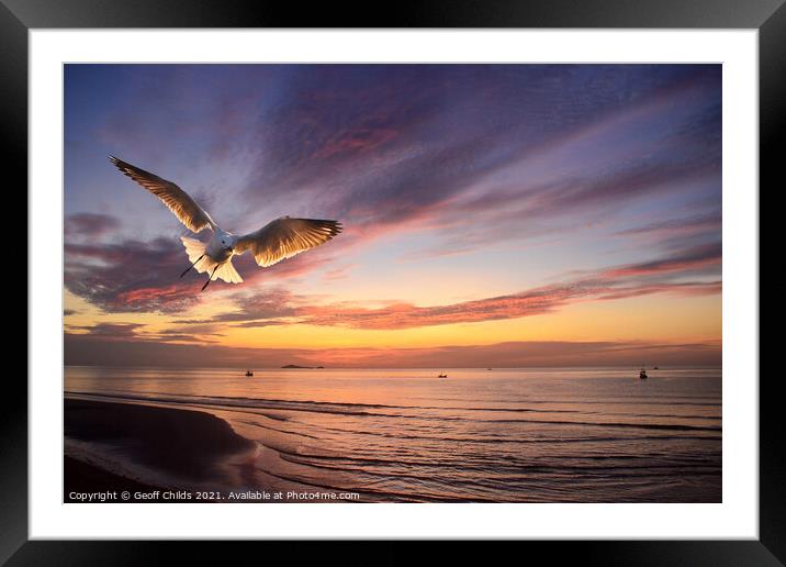 Flying Silver Gull sunrise seascape. Thailand. Framed Mounted Print by Geoff Childs