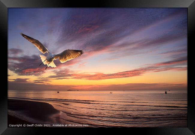 Flying Silver Gull sunrise seascape. Thailand. Framed Print by Geoff Childs