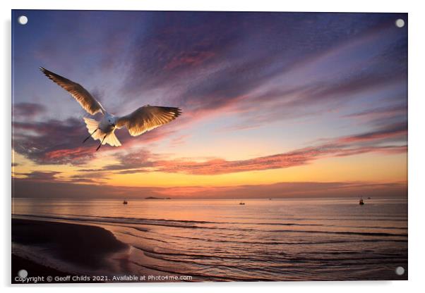 Flying Silver Gull sunrise seascape. Thailand. Acrylic by Geoff Childs