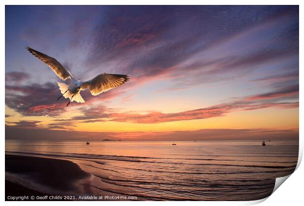 Flying Silver Gull sunrise seascape. Thailand. Print by Geoff Childs