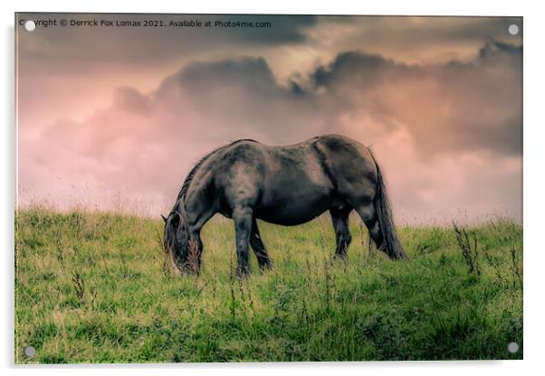 Horse in birtle near bury Acrylic by Derrick Fox Lomax