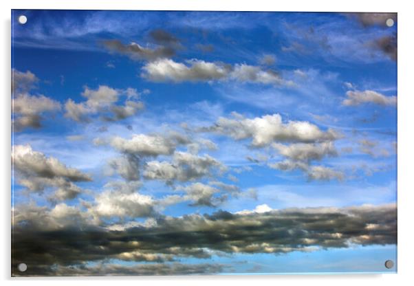  Wild Sky Acrylic by David Hare