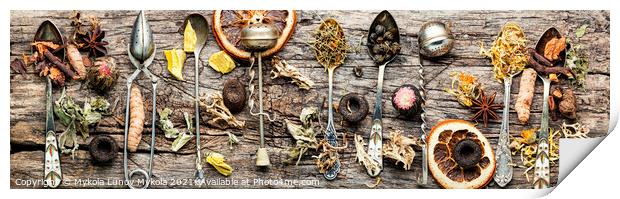 Healing herbs in teaspoons Print by Mykola Lunov Mykola