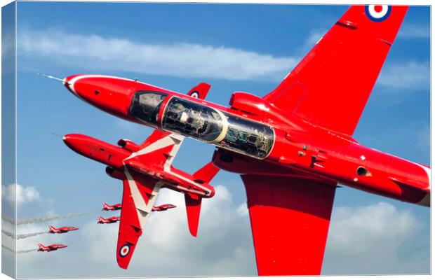 Reds up Close Canvas Print by David Stanforth
