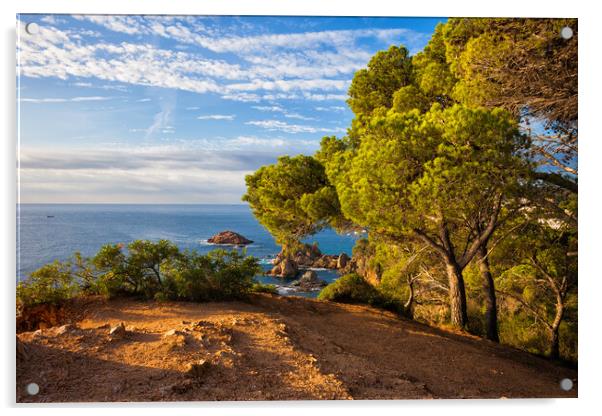 Mediterranean Sea Coastline in Spain Acrylic by Artur Bogacki