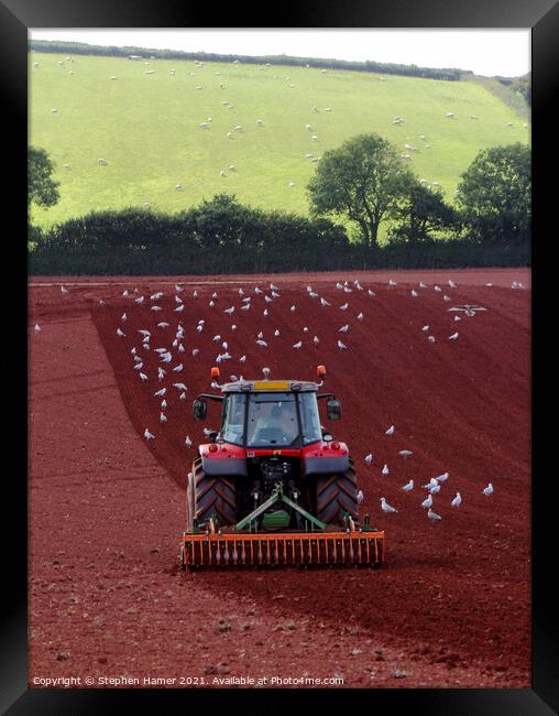 Harrowing Framed Print by Stephen Hamer