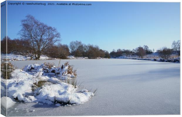 Wintry Scene At The Chasewater Country Park Canvas Print by rawshutterbug 