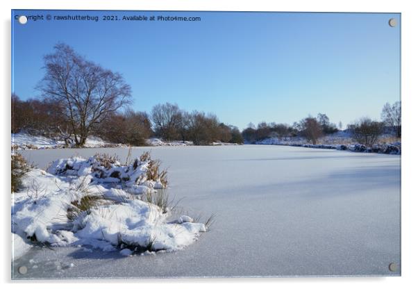 Wintry Scene At The Chasewater Country Park Acrylic by rawshutterbug 