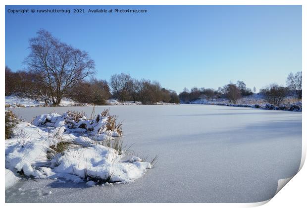 Wintry Scene At The Chasewater Country Park Print by rawshutterbug 