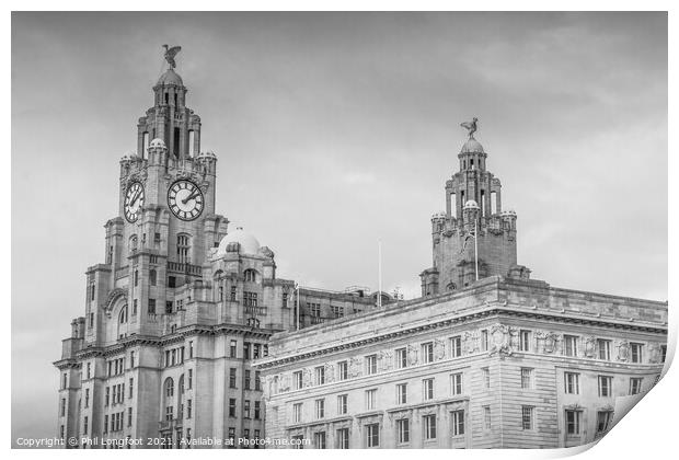 Royal Liver and Cunard Buildings Liverpool  Print by Phil Longfoot